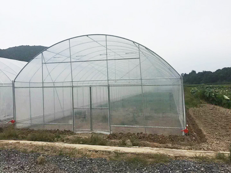 河池市薄膜大棚玻璃大棚 - 哪里好
