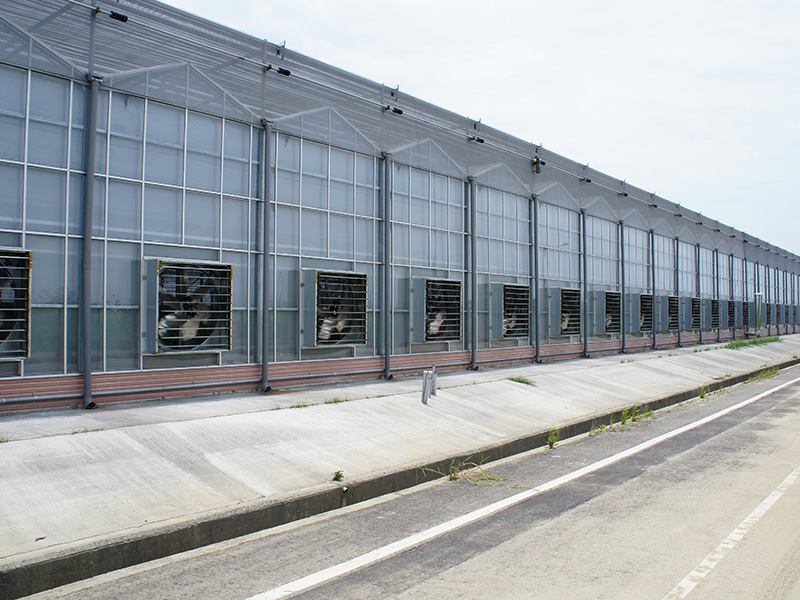 河池市玻璃大棚玻璃温室 - 厂家